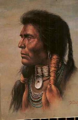 Indianer kennenlernen Lakota Oyate Information