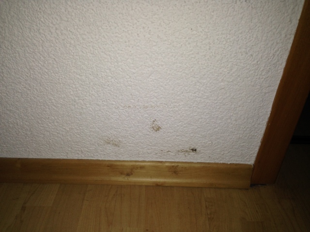 wand abwaschbar machen freizeit und leben haushalt spin de Küchenfarbe Wand Abwaschbar ~ wand abwaschbar machen freizeit und leben haushalt spin de